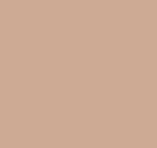 Бежевые обои в зал Loymina Materials Lotus LOT1, 125