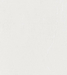 Обои под старые стены Bernardo Bartalucci Gaga  84284-7